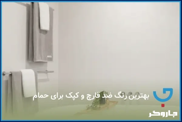 بهترین رنگ ضد قارچ و کپک برای حمام