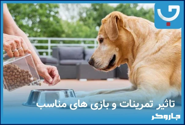 سلامت حیوانات خانگی