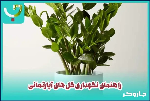 گیاهان آپارتمانی