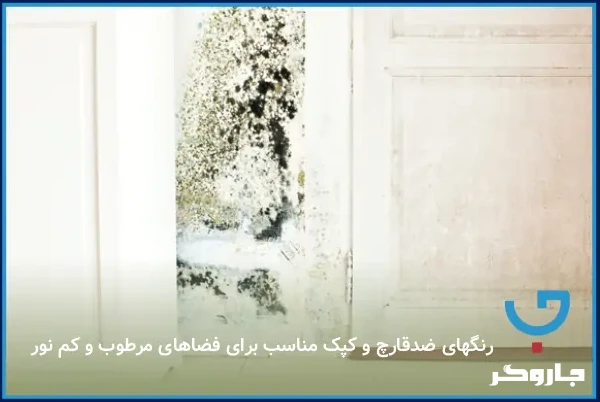رنگ‌های ضدقارچ و کپک مناسب برای فضاهای مرطوب و کم‌نور