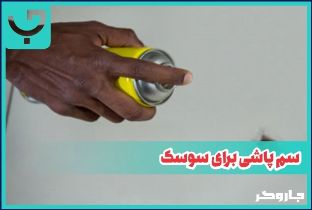 سم پاشی برای سوسک