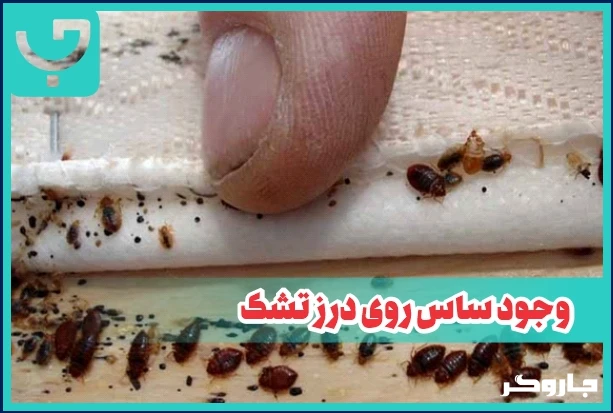 وجود ساس روی درز تشک